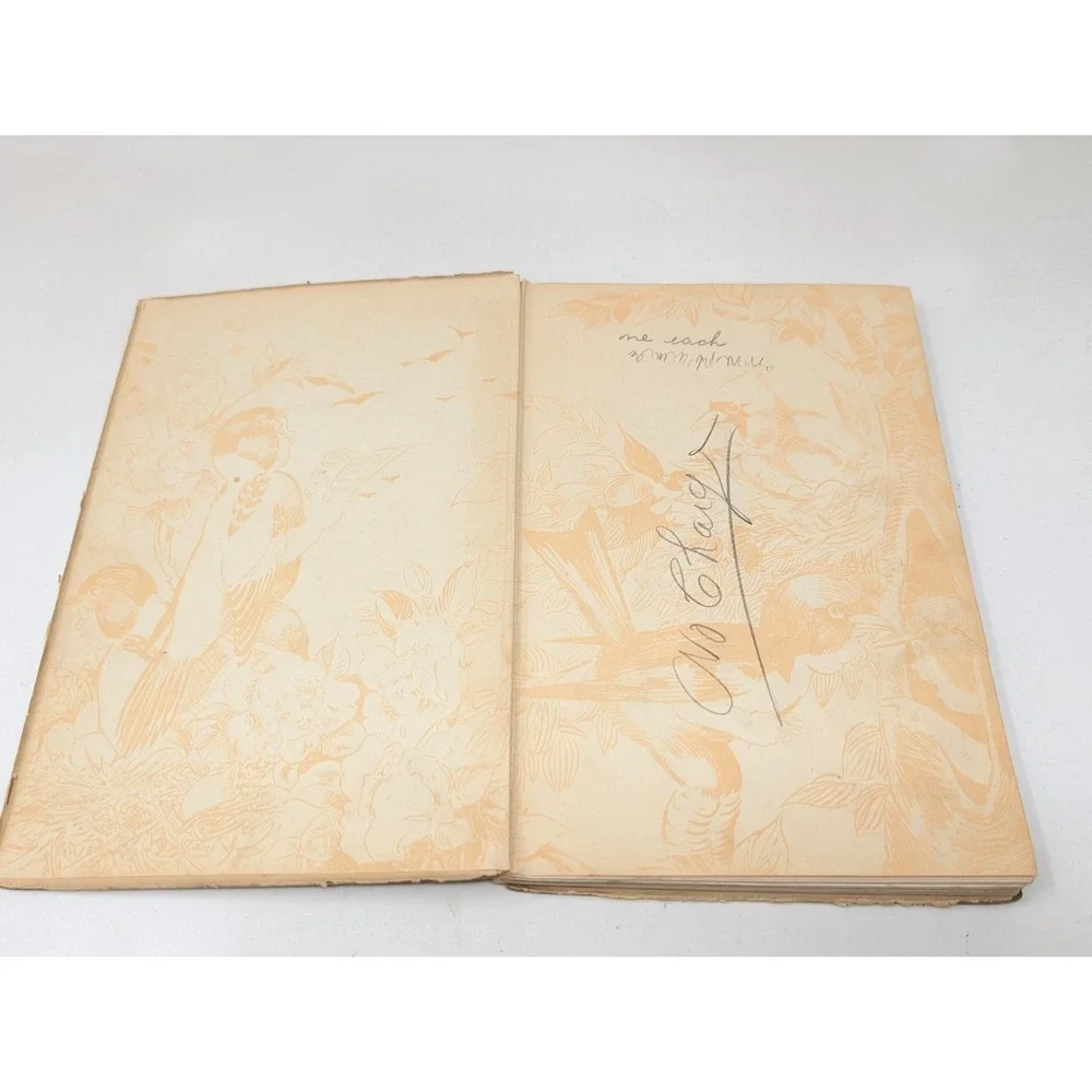 Bird Children By Elizabeth Gordon Antique 1912 Book MT Ross HC‎ 9th edition VTG